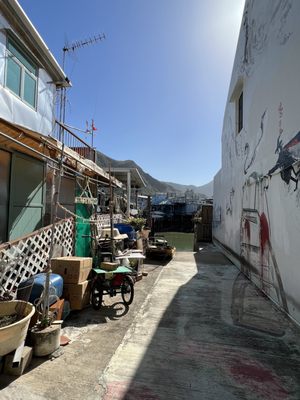 This Is Asia Tours by null