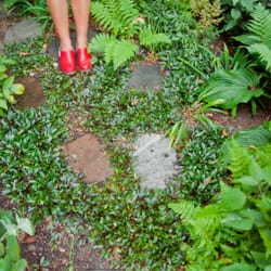 Jean Brooks Landscapes - Maintaining our beautiful greenery