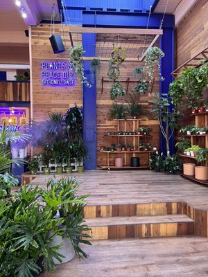 The Mellow Mission by null