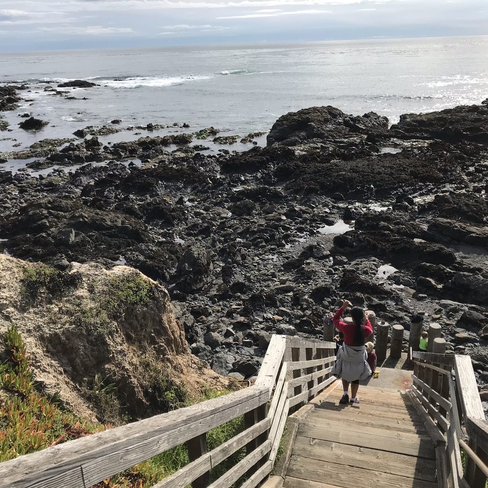 Lampton Cliffs Park - Parks Near Me - Cambria, California Lampton Cliffs Park - Parks Near Me - Cambria, California