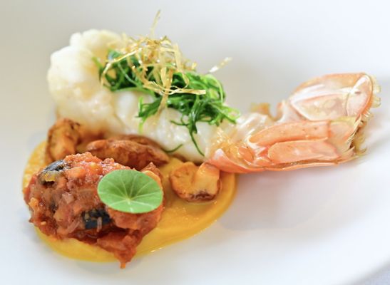 ZEST by Konishi by null