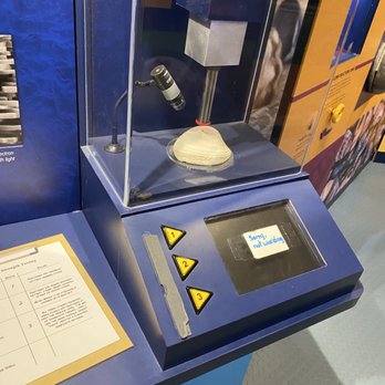 The Bailey-Matthews Shell Museum - Example of a broken exhibit - Museums Near Me - Sanibel, Florida