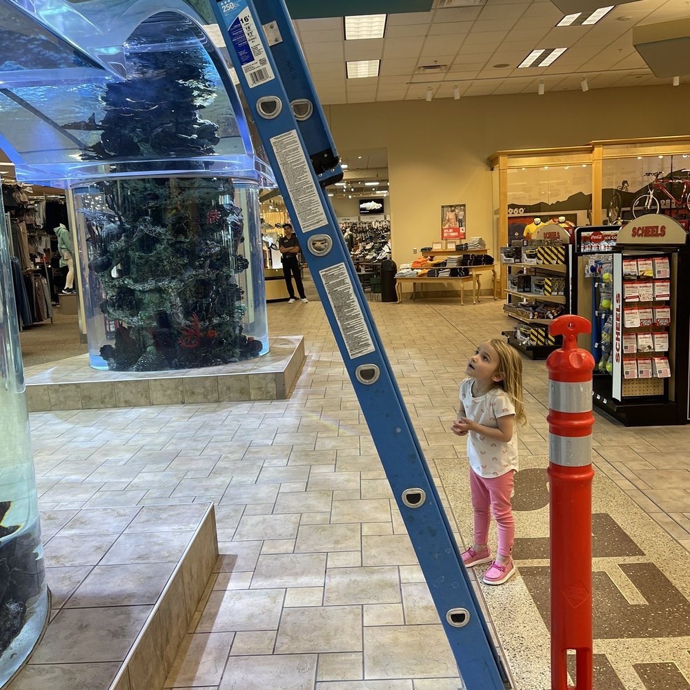 Scheels - A little spectator. - Sports Wear Near Me - Sparks, Nevada Scheels - A little spectator. - Sports Wear Near Me - Sparks, Nevada