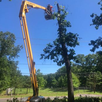 All Year Landscaping - Landscape Architects or Designers Near Me - Vineland, New Jersey All Year Landscaping - Landscape Architects or Designers Near Me - Vineland, New Jersey