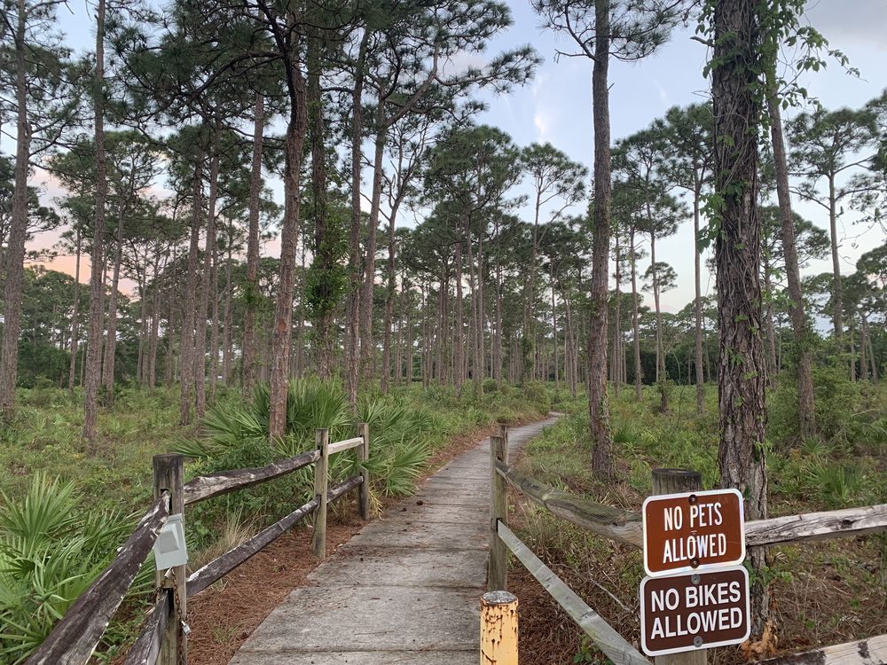 Limestone Creek Natural Area Image