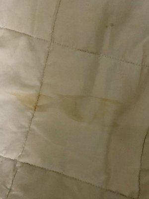 The Hayes Street Hotel Nashville by null