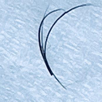 Kitty lash beauty - Asked for 1:1, but technician doubled up. - Eyelash Service Near Me - Pasadena, California Kitty lash beauty - Asked for 1:1, but technician doubled up. - Eyelash Service Near Me - Pasadena, California