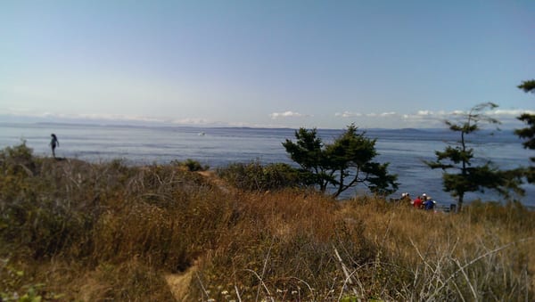 Lime Kiln Point State Park by null