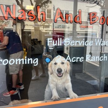 Wags - Pet Groomers Near Me - San Francisco, California Wags - Pet Groomers Near Me - San Francisco, California