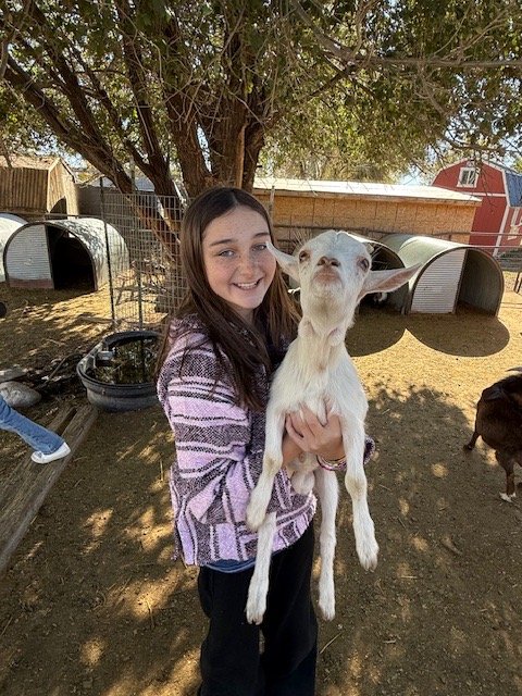 A to Z Building Blocks - childcare center in Orem, UT