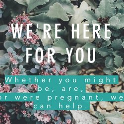 Photo of Next Step - Pleasanton, CA, US.