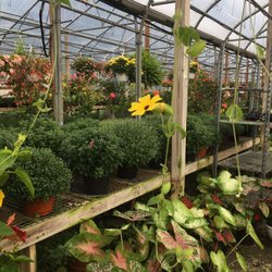 Echo Nursery Garden