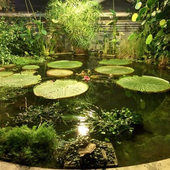Botanisk Have - Botanical Gardens Near Me - Århus, 82
