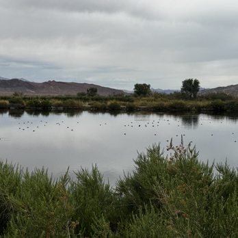 Henderson Bird Viewing Preserve - Parks Near Me - Henderson, Nevada Henderson Bird Viewing Preserve - Parks Near Me - Henderson, Nevada