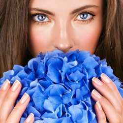 The Cosmetic Surgery Center
