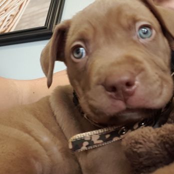 Garcia's Feed & Pet - Thank you for saving me!!!! - Pet Stores Near Me - Bakersfield, California Garcia's Feed & Pet - Thank you for saving me!!!! - Pet Stores Near Me - Bakersfield, California
