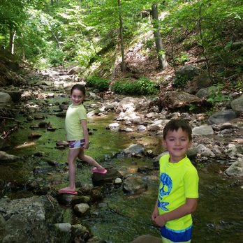 Greer's Chicken - The babbling brook next to Greer's eatting area - Chicken Wings Near Me - Bristol, Connecticut