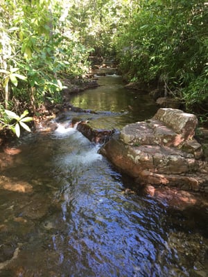 Litchfield National Park by null