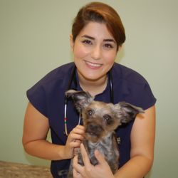 Big Island Mobile Veterinary Care