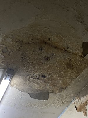 St Peter Central Catholic Elementary School