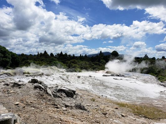 Te Puia - Rotorua, NZ by null
