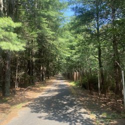Vietnam Veterans Memorial Walk Hiking Trail - Shady path on the pines. Moonlight through the pines on a full moon.