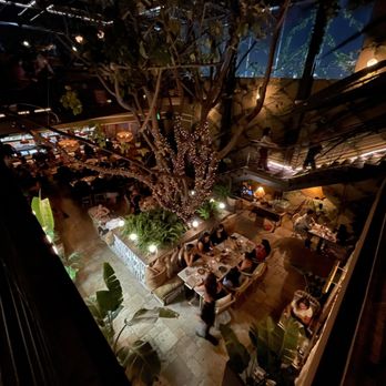 Mirate - View from the bottom floor from where we sat. - Mexican Near Me - Los Angeles, California Mirate - View from the bottom floor from where we sat. - Mexican Near Me - Los Angeles, California