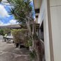 Photo of Impact Trees and Landscaping 