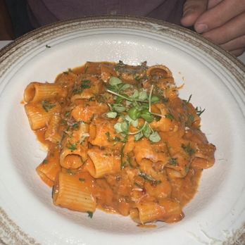 Lena Trattoria - Rigatoni Al Osteria - Pizza Near Me - Bronx, New York Lena Trattoria - Rigatoni Al Osteria - Pizza Near Me - Bronx, New York