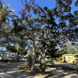 Indian River RV Park - Well kept and whimsical landscaping and decorations @ IRRVP