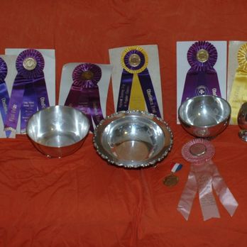 Smitty's Kennels - Some of our AKC Dog Show trophies, we have been showing for 40 years. - Pet Training Near Me - Middle Island, New York Smitty's Kennels - Some of our AKC Dog Show trophies, we have been showing for 40 years. - Pet Training Near Me - Middle Island, New York