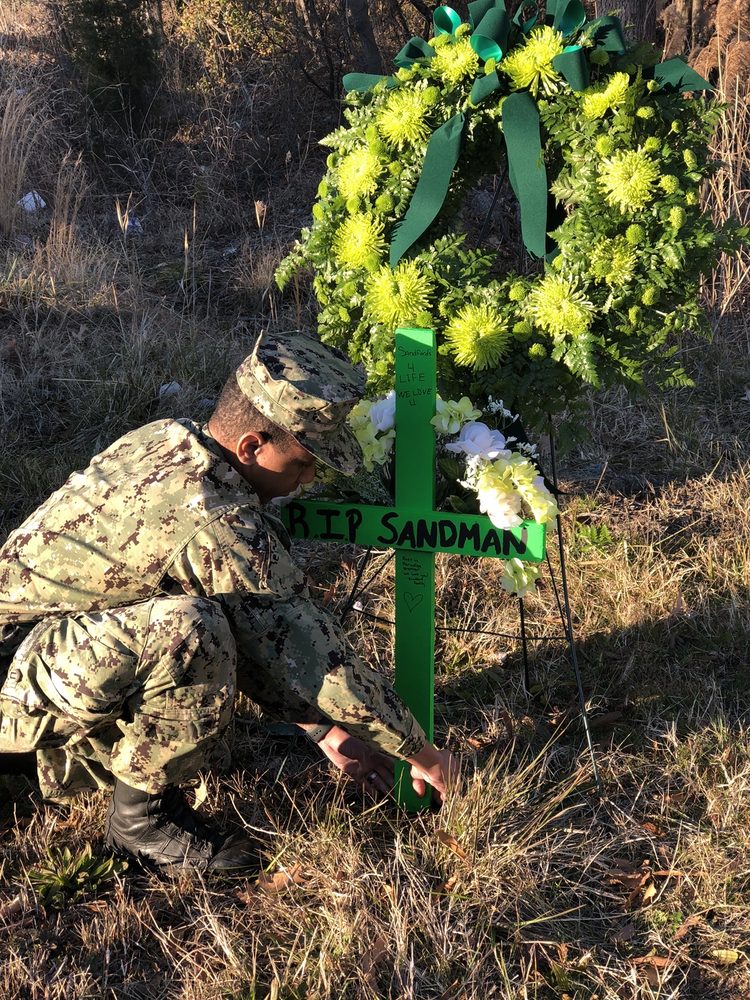 FLOWERS WAYNE JONES Updated September 2024 29 Photos & 13 Reviews