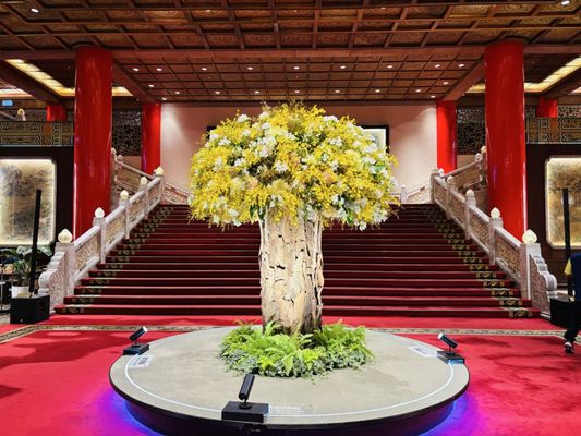 The Grand Hotel by null