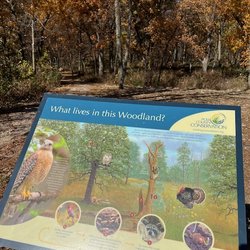 Browns Woods State Park - explanatory sign in front of the woods