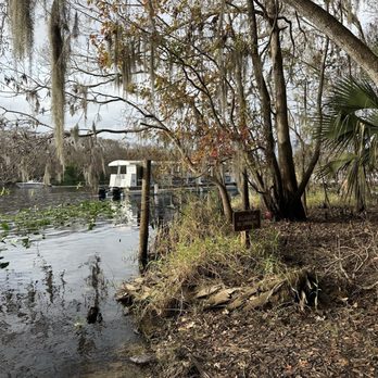 Blue Spring State Park - The river - Parks Near Me - Orange City, Florida
