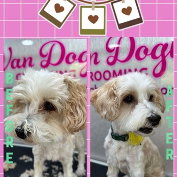 Van Dogh Grooming - Pet Groomers Near Me Van Dogh Grooming - Pet Groomers Near Me