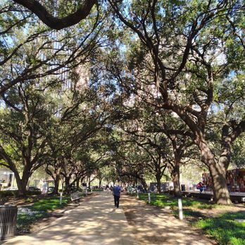 Discovery Green - Parks Near Me - Houston, Texas