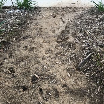 Natural Aspect Gardenscape - Landscaping Near Me