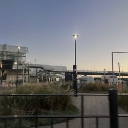 Sydney International Airport - Arrivals