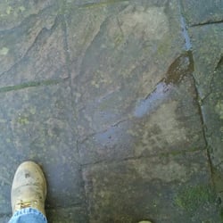 Ray's Pressure Washing Service