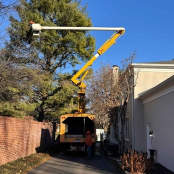 We Care Tree Service - Tree Services Near Me We Care Tree Service - Tree Services Near Me
