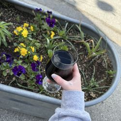 Levity Brewing - Home brewed root beer