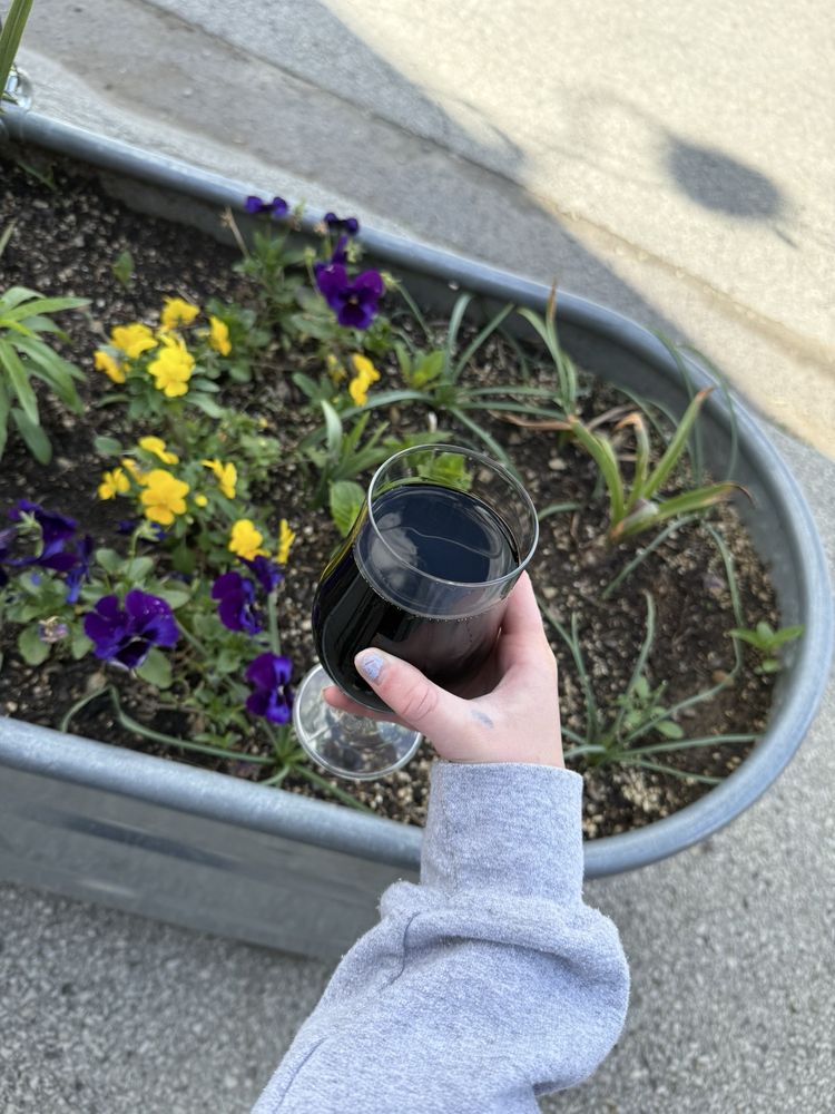 Food from Levity Brewing