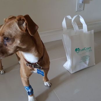 TrueCare for pets - Thank you True Care - Veterinarians Near Me - Studio City, California TrueCare for pets - Thank you True Care - Veterinarians Near Me - Studio City, California