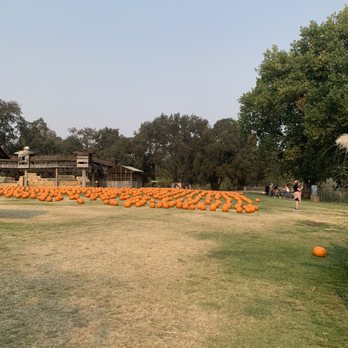 Fog Willow Farms - Attraction Farms Near Me - Wilton, California Fog Willow Farms - Attraction Farms Near Me - Wilton, California