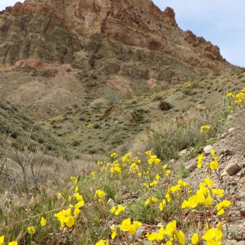 Titus Canyon Road - Hiking Near Me
