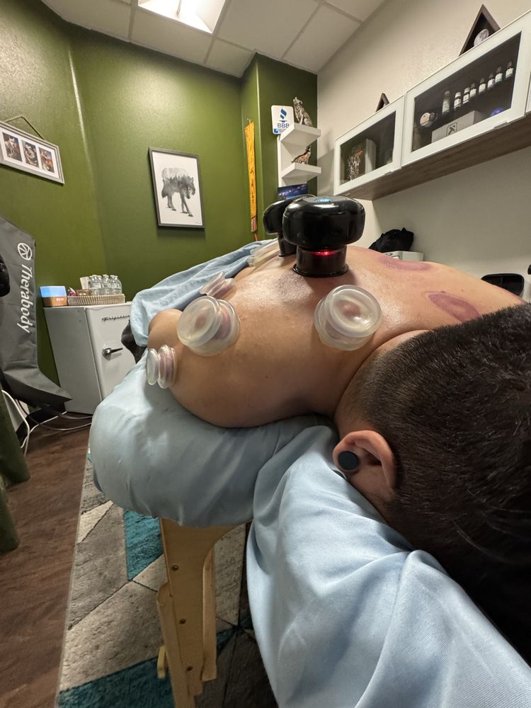 Wolf Pack Sports Therapy Logo