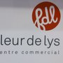 Photo of Fleur de Lys