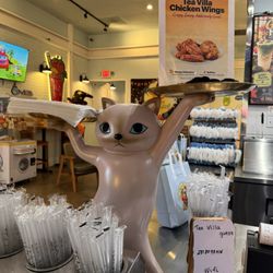 Cat chicken