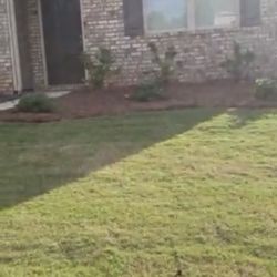 TruGreen Lawn Care - Before TruGreen